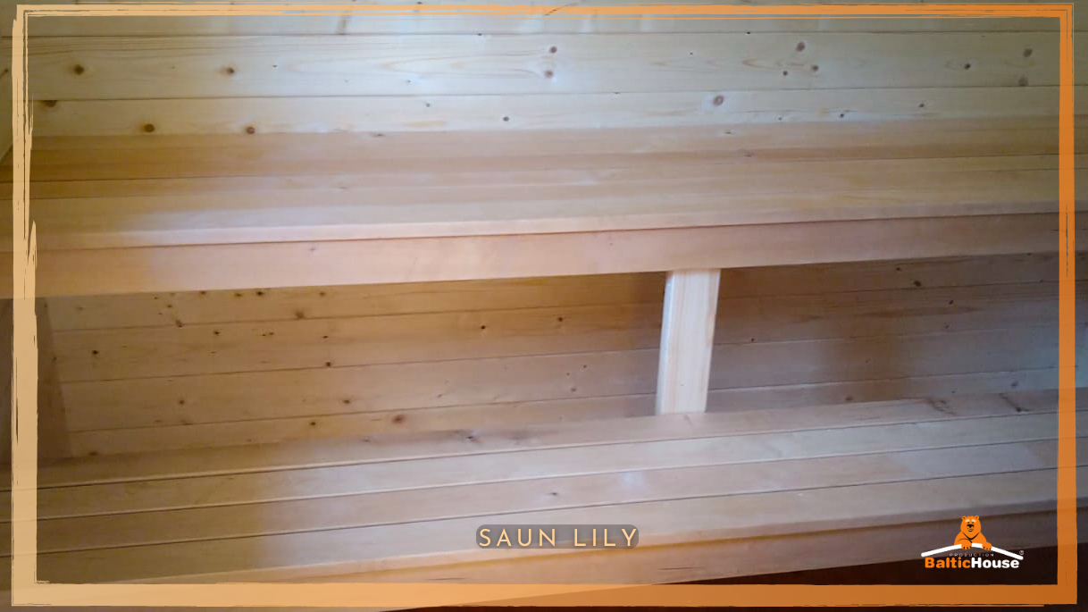 Sauna pilt | Image of sauna house