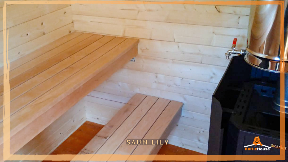 Sauna pilt | Image of sauna house